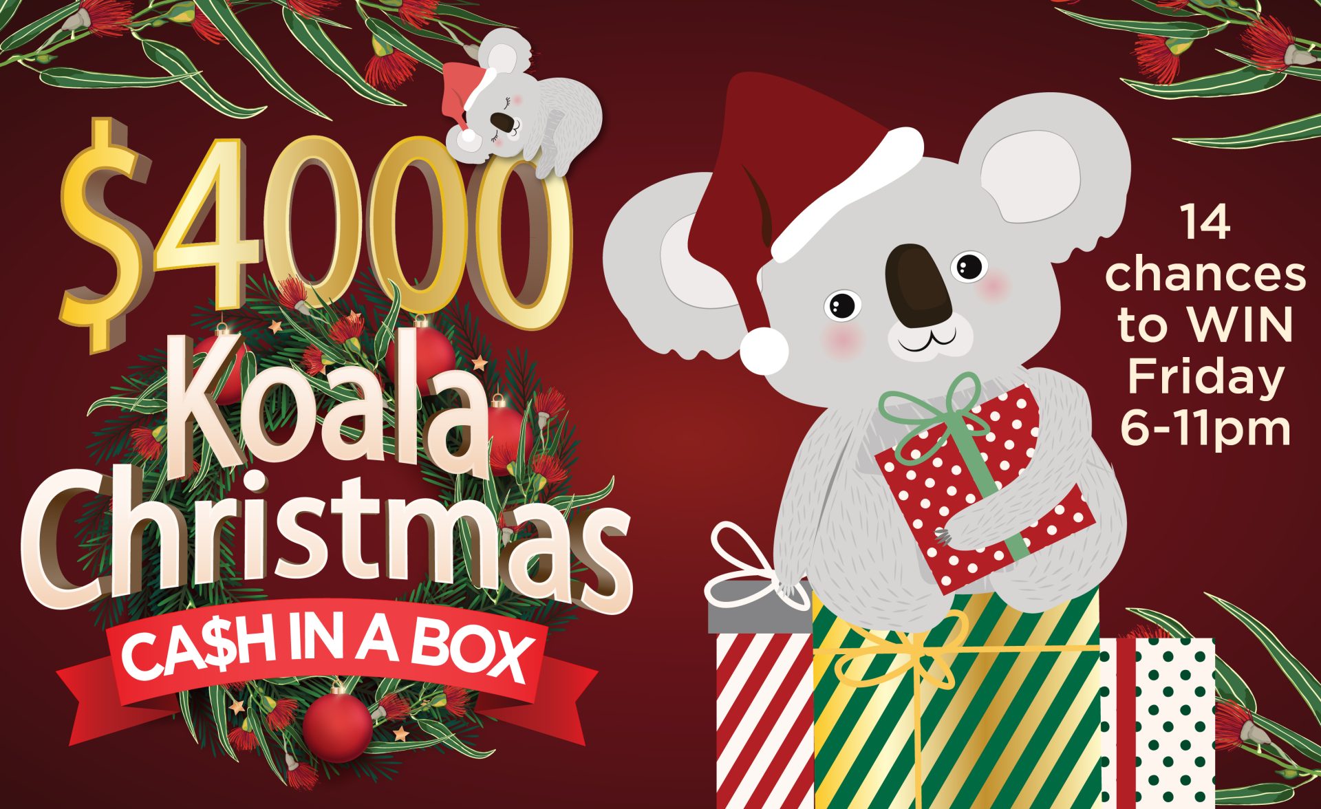 Koala Christmas Promo Tv Image 01