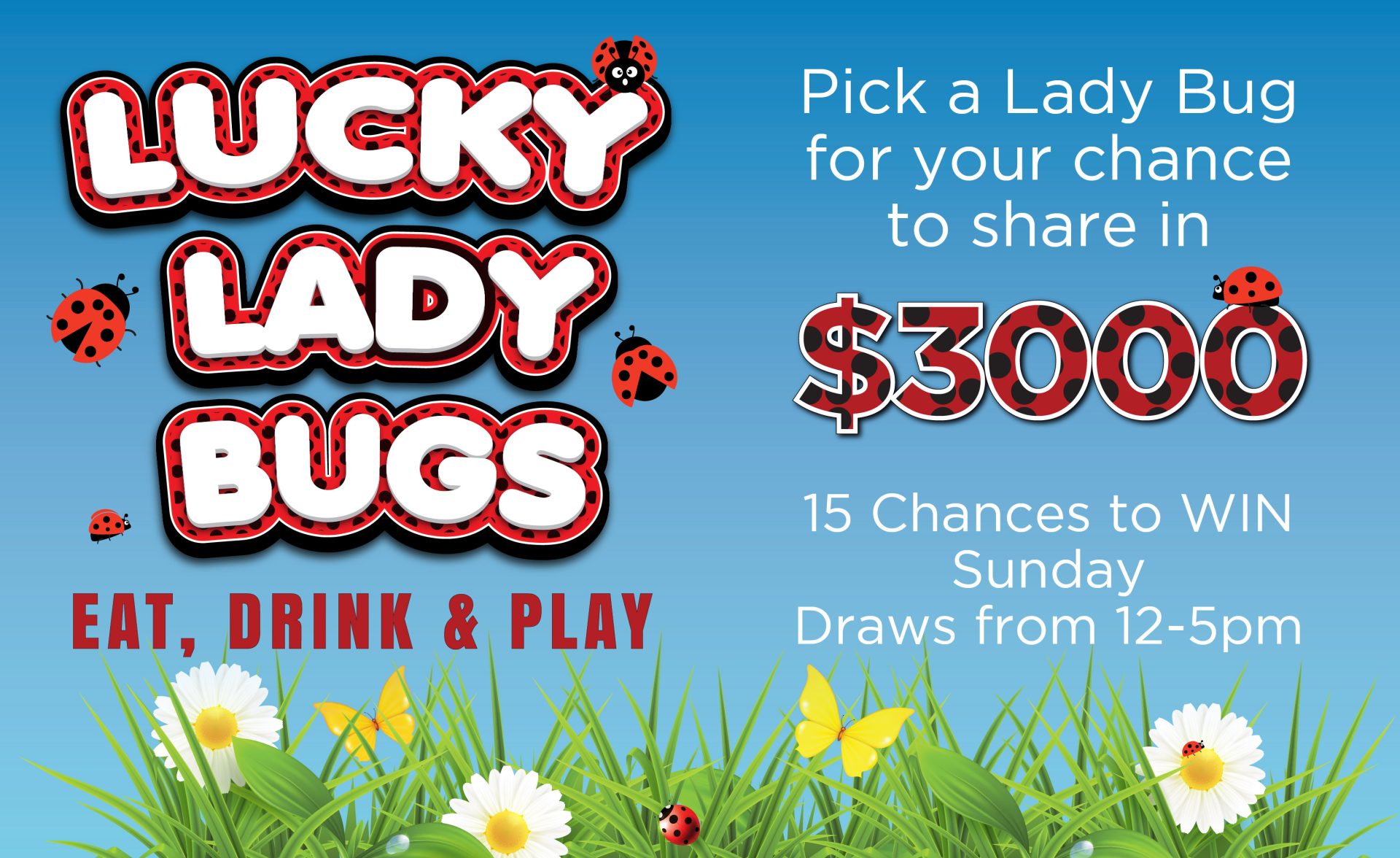 Lucky Lady Bugs Tv Image 01
